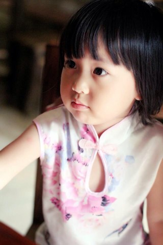 journal_insert_pic_144089762