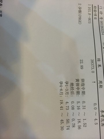 journal_insert_pic_144209232