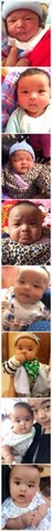 journal_insert_pic_144329350