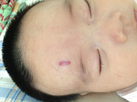 journal_insert_pic_145061291