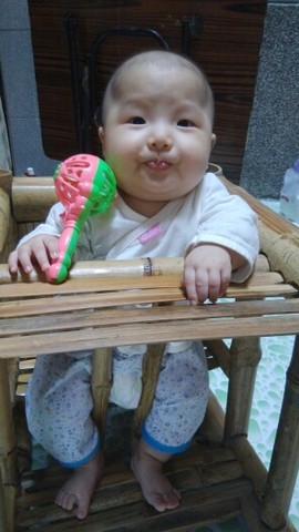 journal_insert_pic_145020646