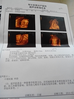 journal_insert_pic_145525379