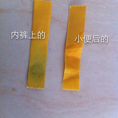 journal_insert_pic_145529445