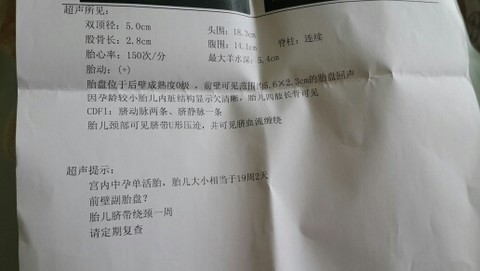 journal_insert_pic_145466928