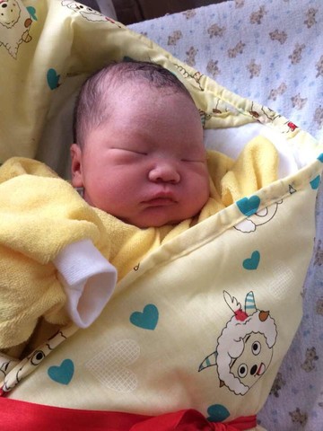 journal_insert_pic_145848537