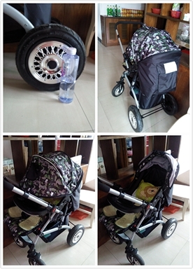 journal_insert_pic_145893734