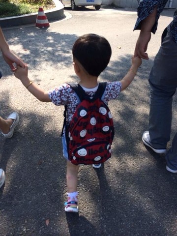 journal_insert_pic_146372647