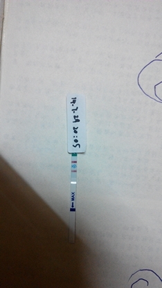 journal_insert_pic_147009963