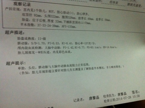 journal_insert_pic_146921090