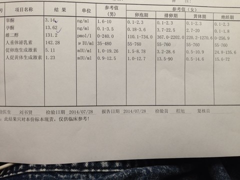 journal_insert_pic_146957581