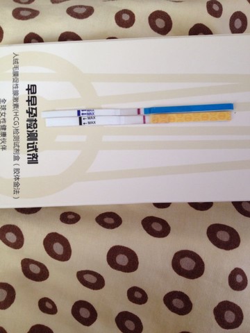 journal_insert_pic_147210536