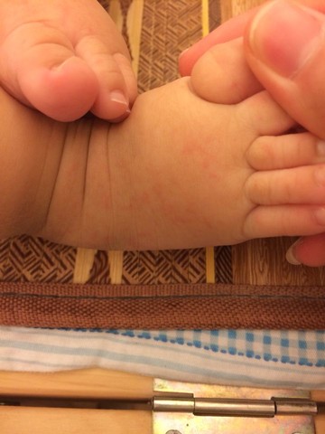 journal_insert_pic_147671140