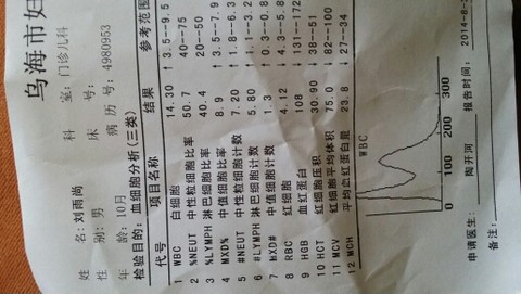 journal_insert_pic_148005825