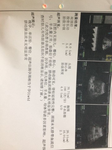 journal_insert_pic_148496822