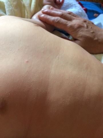 journal_insert_pic_150258140