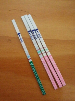 journal_insert_pic_150454565