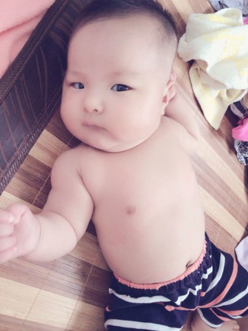 journal_insert_pic_151054202