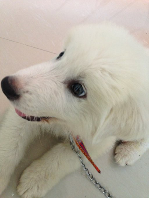 32周检查才3.6斤,好小,怎么能让宝宝大一些