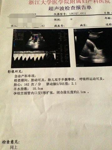 journal_insert_pic_151372300