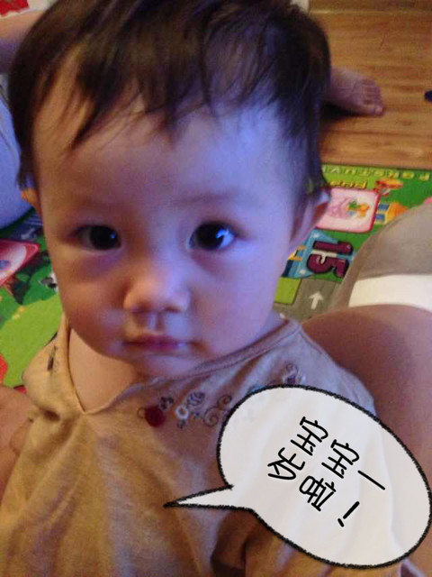 journal_insert_pic_151372350