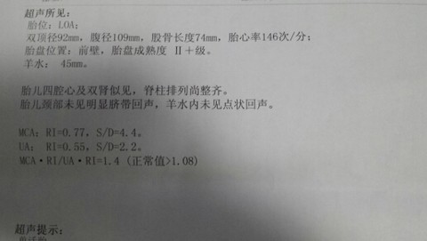 journal_insert_pic_151773647