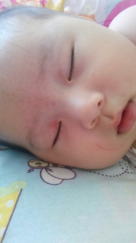 journal_insert_pic_151853830