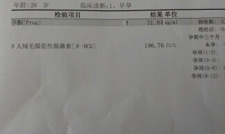 journal_insert_pic_152247832