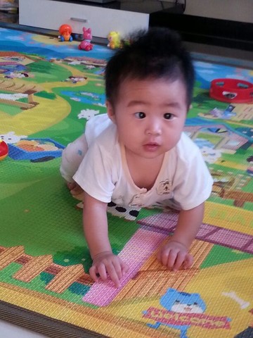 journal_insert_pic_152535821