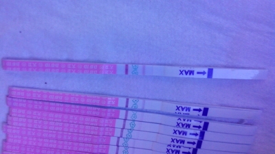 journal_insert_pic_153021285
