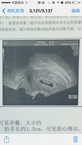 journal_insert_pic_154082218