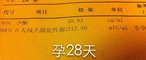 journal_insert_pic_154108729