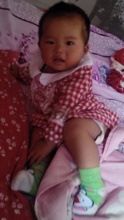 journal_insert_pic_154223516