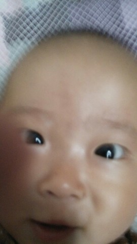 journal_insert_pic_154294244