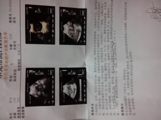 journal_insert_pic_154336571