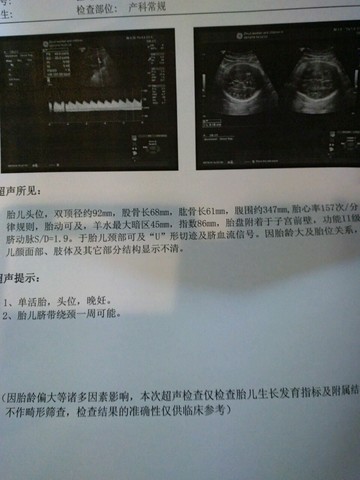 journal_insert_pic_154710164