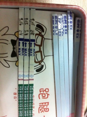 journal_insert_pic_154713223