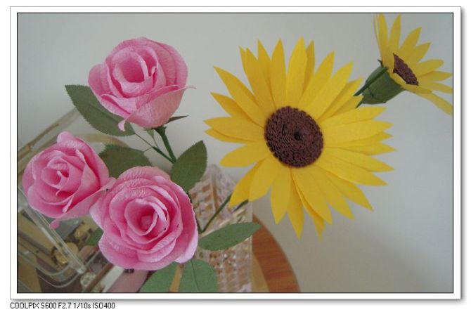 journal_insert_pic_154863936