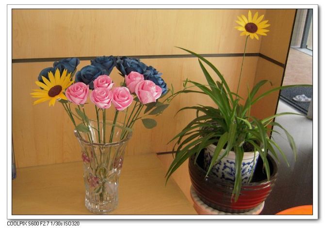 journal_insert_pic_154863935