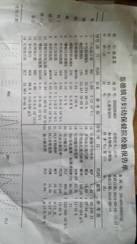 journal_insert_pic_155133848