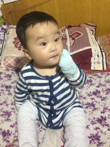 journal_insert_pic_157211217