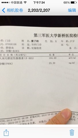 journal_insert_pic_157330080