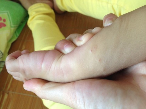 journal_insert_pic_157618861