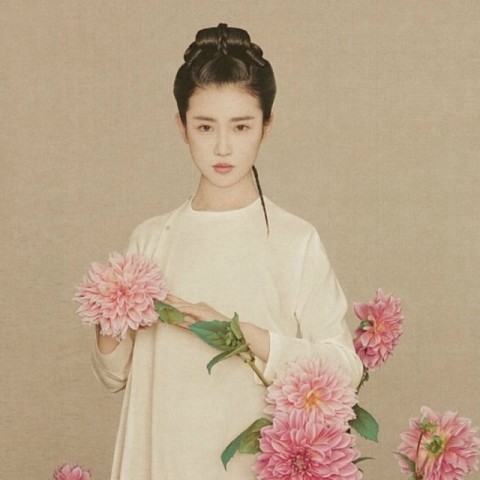 journal_insert_pic_158304144