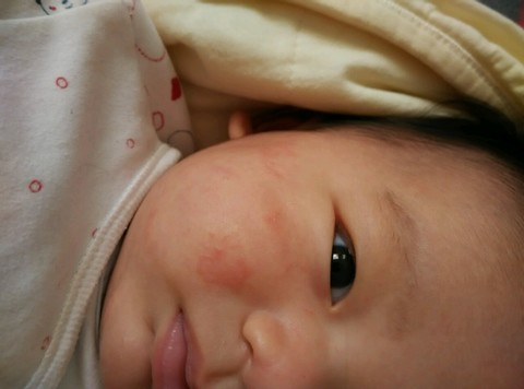 journal_insert_pic_158684904