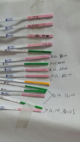 journal_insert_pic_159182909