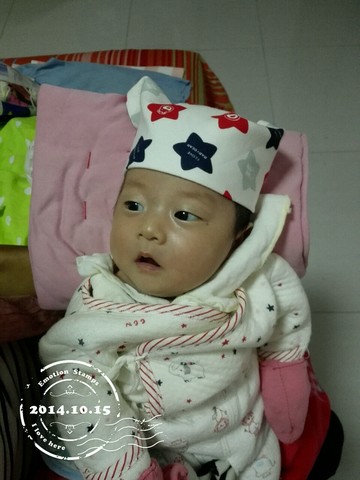 journal_insert_pic_159387548