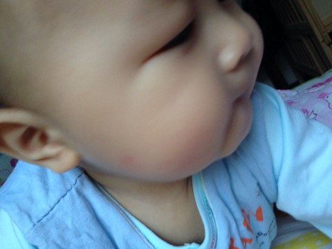 journal_insert_pic_159442200