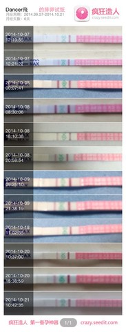 journal_insert_pic_160526311
