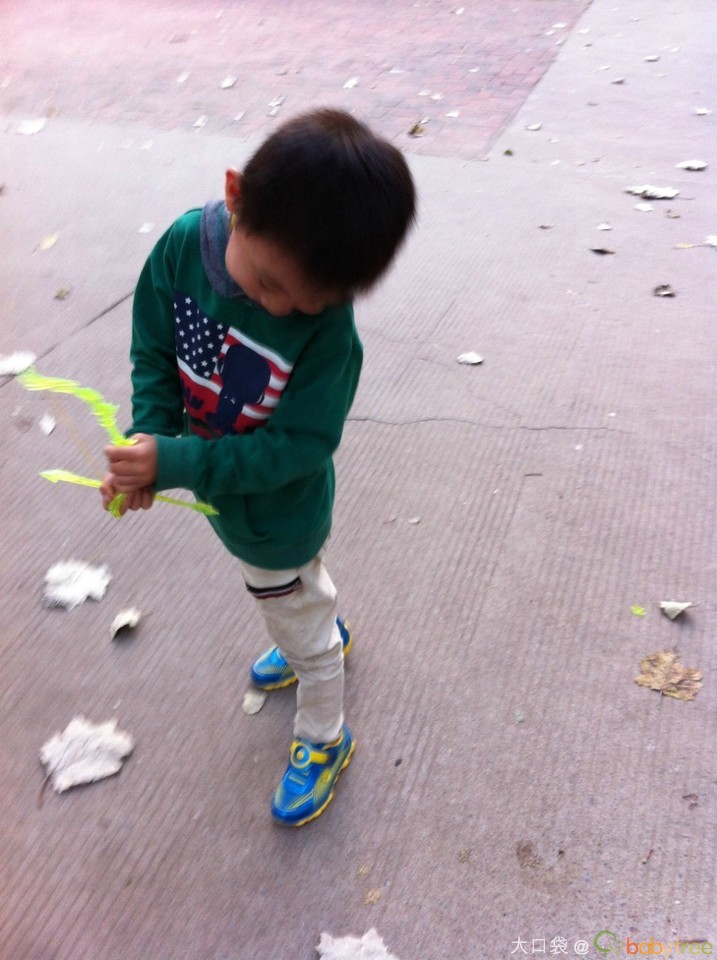 journal_insert_pic_160644748