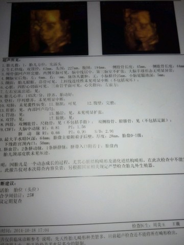 journal_insert_pic_161556951